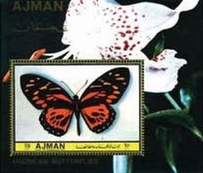 Tiger (Panthera tigris)