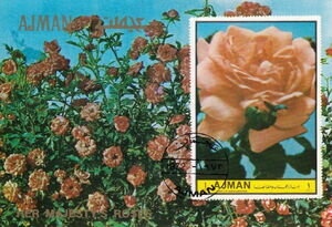 ‭Labor Party headquarters, Tirana