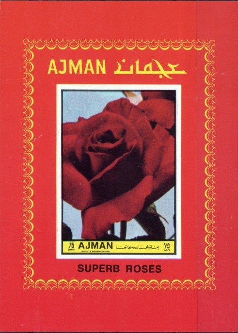 ‭Congress Emblem and Power  ‭Station