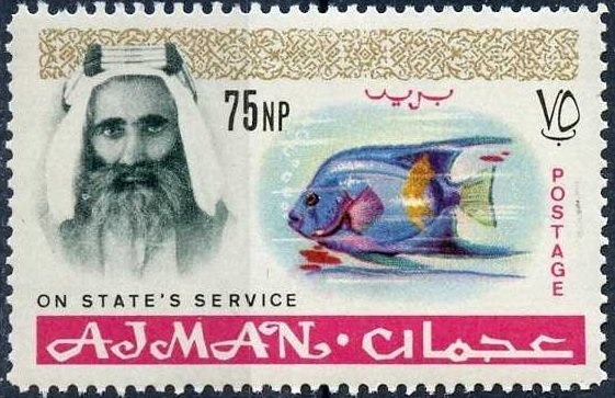 Sheikh - South Arabia