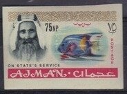 Barrow's goldeneye (Bucephala islandica)