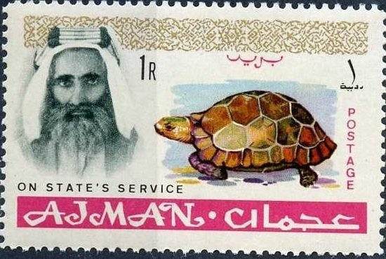 Red Comb Star (Astropecten aranciacus)