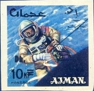 Persian Cyclamen (Cyclamen persicum)