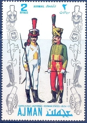 Canada goose (Branta canadensis)