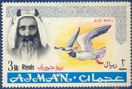 Giant Genet (Genetta victoriae)