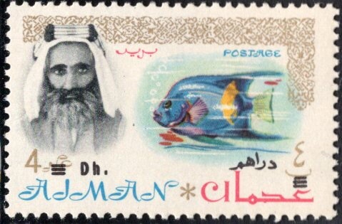 Lesser scaup (Aythya affinis)