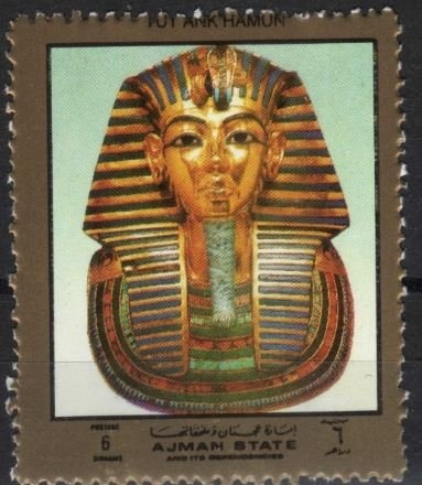 Tiger Moth (Callimorpha sp.)