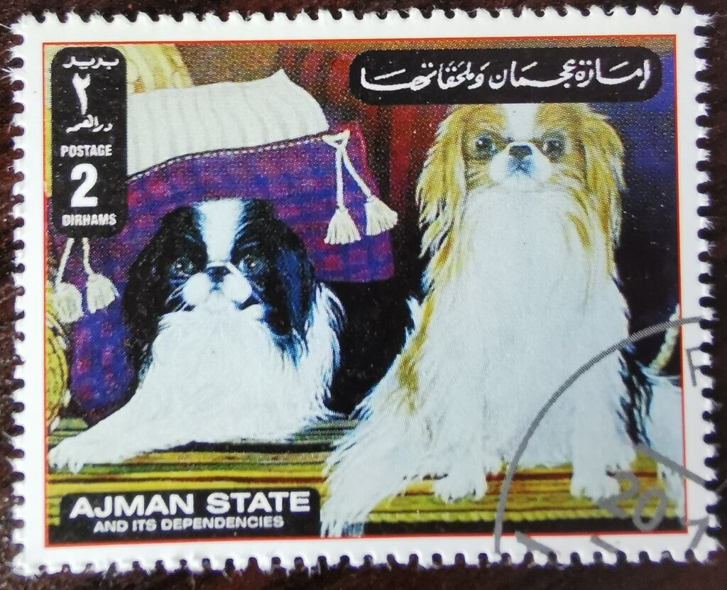 Napoleon at St Bernard