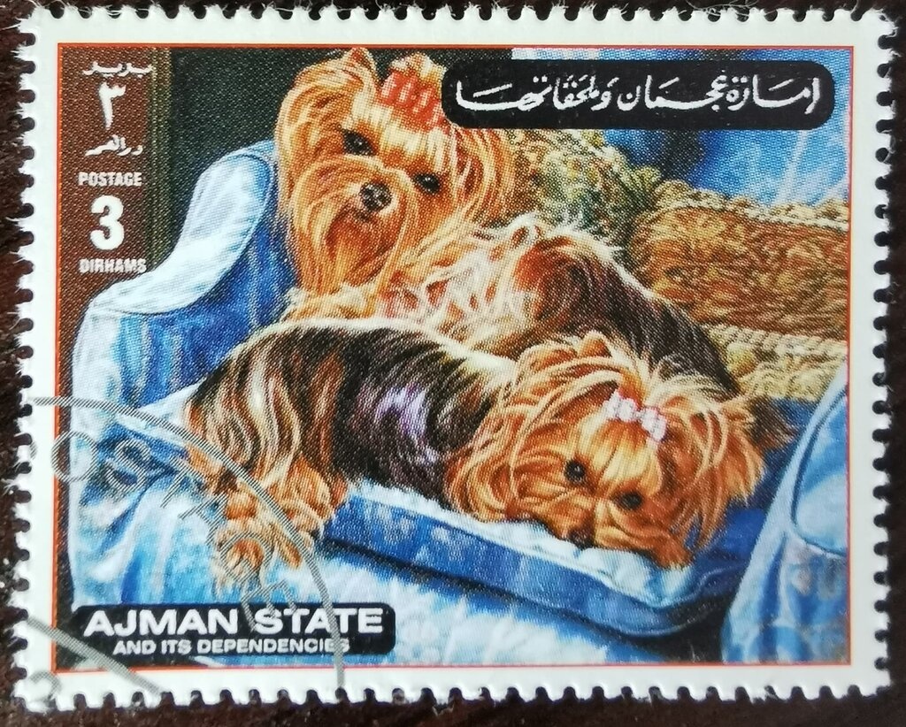 Proclamation of the Republic