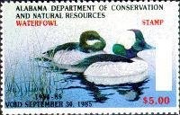 Komodo Dragon (Varanus komodoensis)