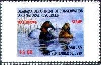 Bornean Orangutan (Pongo pygmaeus)