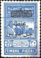 Sheik Rashid and Royal Angelfish (Pygoplites diacanthus)