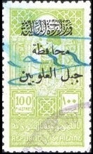 Northern pintail (Anas acuta)