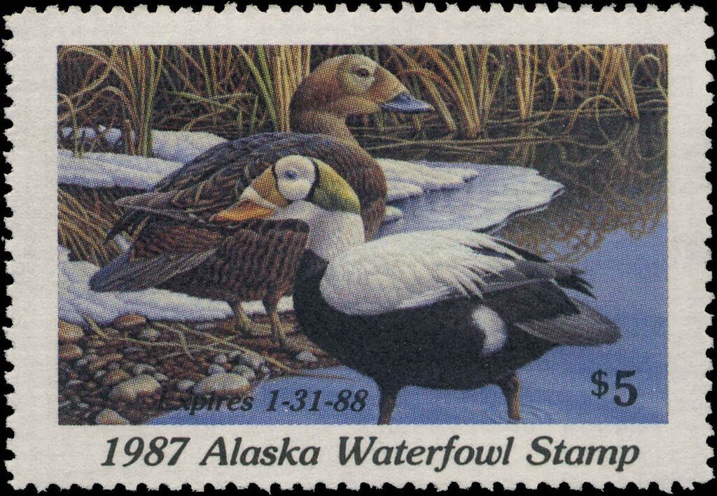 Football Game and Globe as Ball