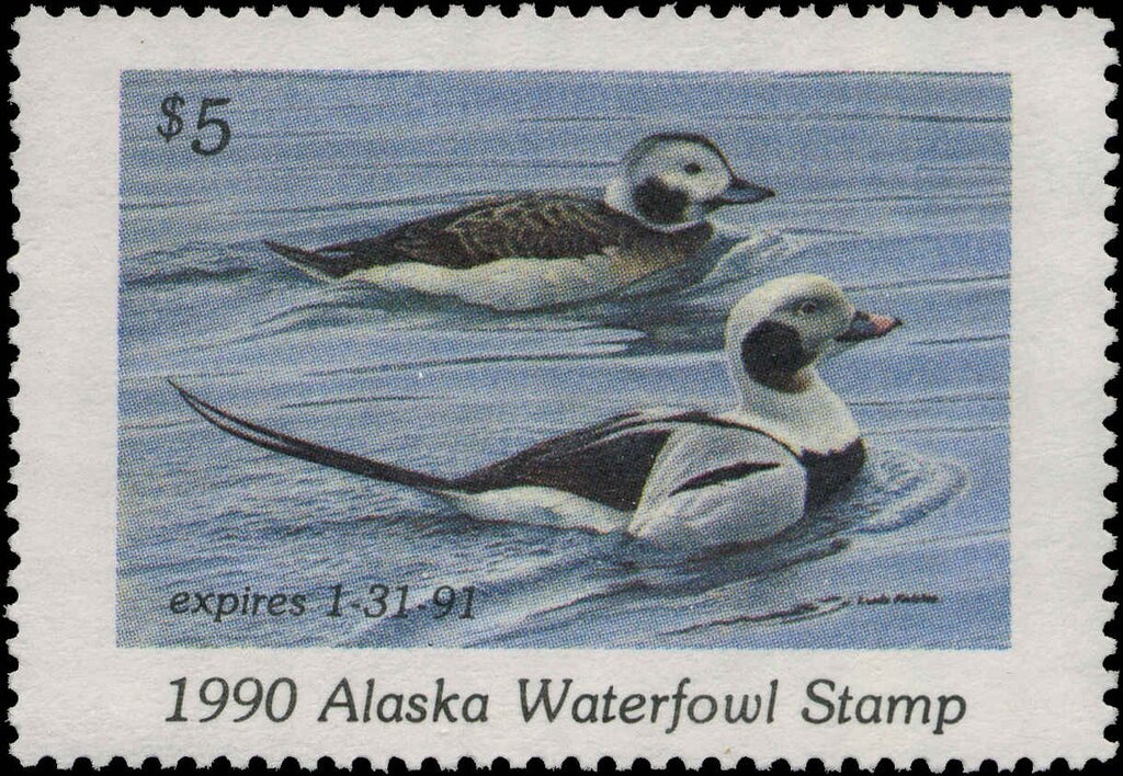 ‭Albanian fighter holding flag