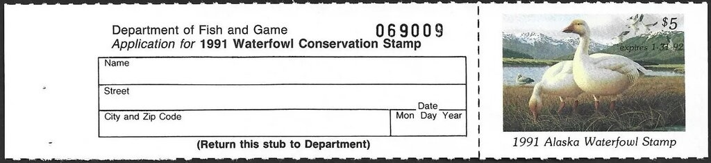 American wigeon (Mareca americana) - male