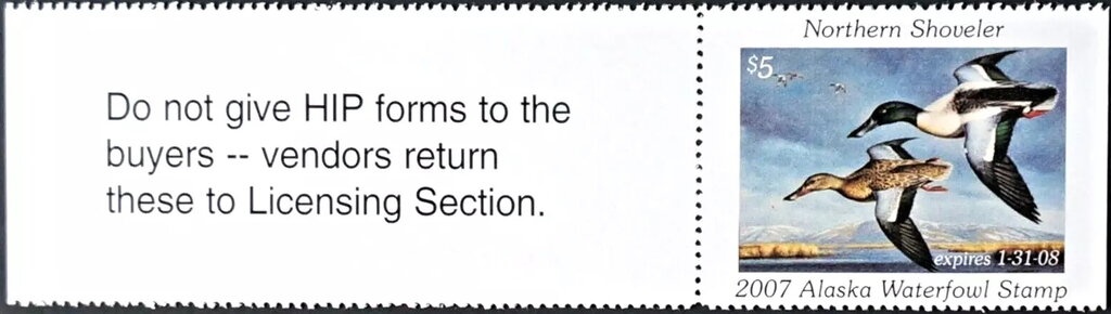 Olympic Torch, Mt. Fuji