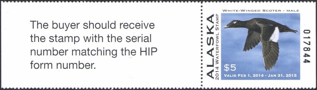 Scouts of Different Countries