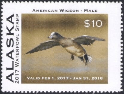 Jersey Tiger (Callimorpha quadripunctaria)