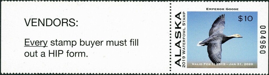 Agron Elezi (1947-1967), Albanian frontier guard