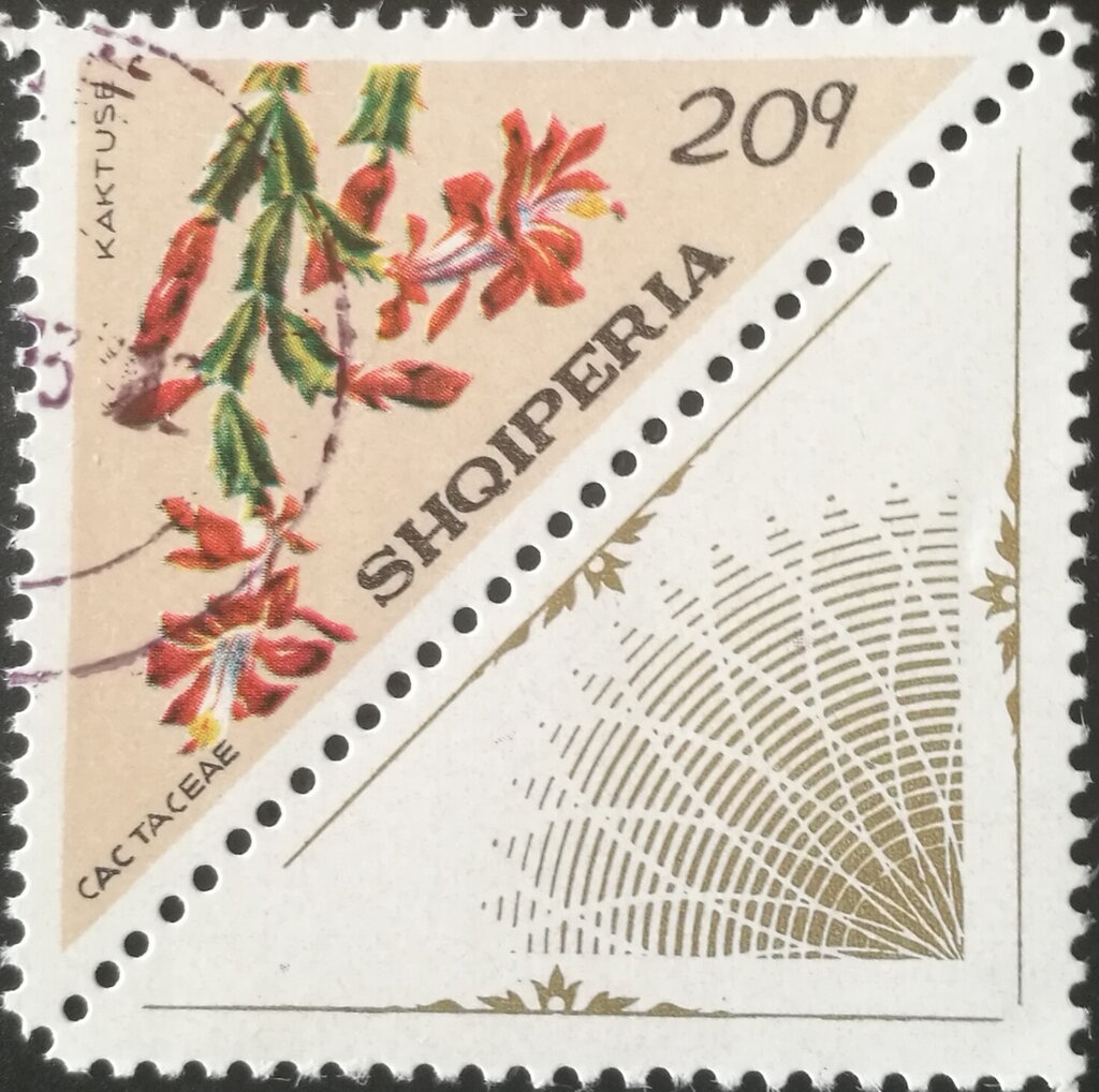 Portrait of an Old Man (c. 1939), by Sofia Papadhimitri