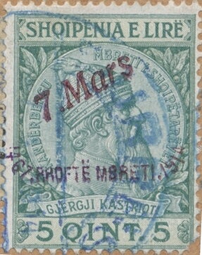 Black scoter (Melanitta americana)