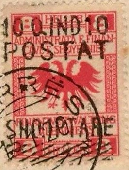 Domestic Pig (Sus scrofa domesticus)