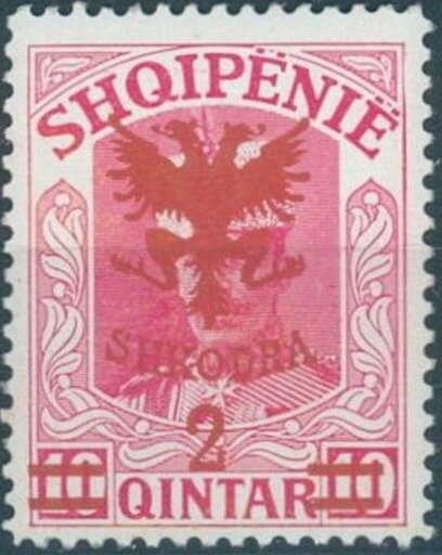 General issue (Austrian stamps handstamped in blue)
