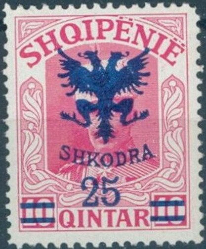 Leaf Cactus (Epiphyllum spec.)