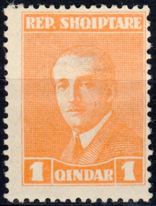 Black-headed Gull (Larus ridibundus)