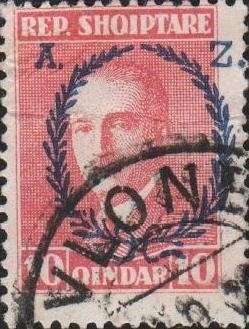 Chicory (Cichorium intybus)