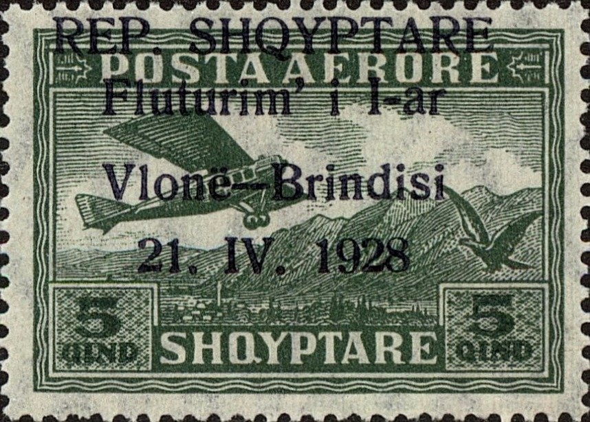 Northern shoveler (Spatula clypeata)