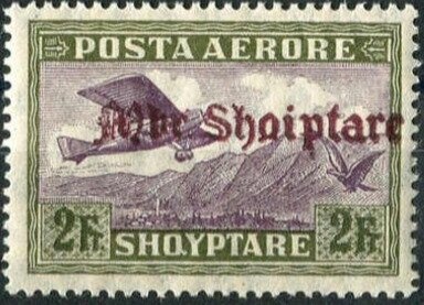 Roloway Monkey (Cercopithecus roloway)