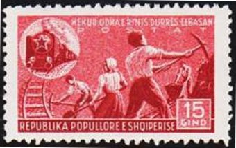 China Pink (Dianthus chinensis)