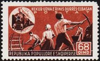 Northern shoveler (Spatula clypeata)