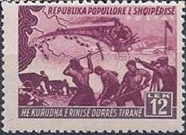 Yellow Violet (Viola maculata)