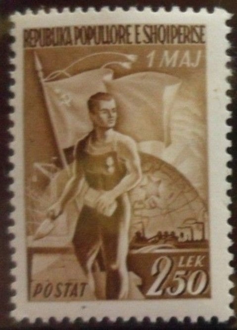 Norway Lobster (Nephrops norvegicus)