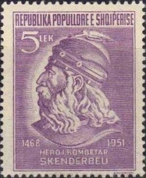 Ring-necked duck (Aythya collaris)