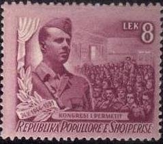 Black-headed Gull (Larus ridibundus)