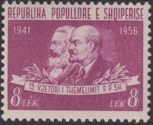 Siamese Cat (Felis silvestris catus)