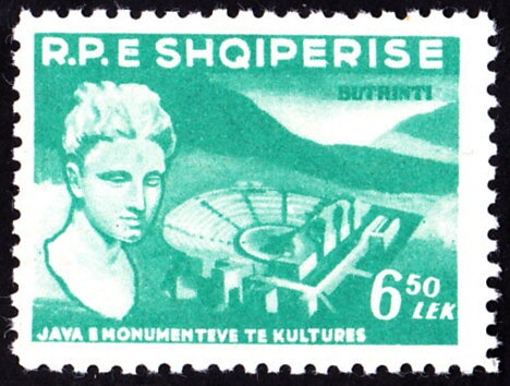 Sheik Rashid, White-eyed Gull (Ichthyaetus leucophthalmus)