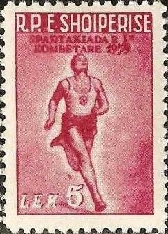 Hooded merganser (Lophodytes cucullatus)