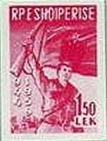 Sheik Rashid, White-eyed Gull (Ichthyaetus leucophthalmus)