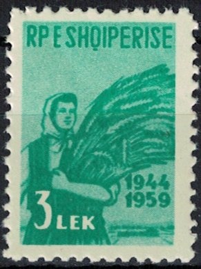 Northern pintail (Anas acuta)