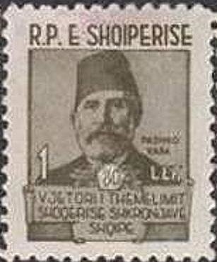 Mediterranean Red Sea Star (Echinaster sepositus)