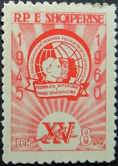 Leaf Cactus (Epiphyllum spec.)