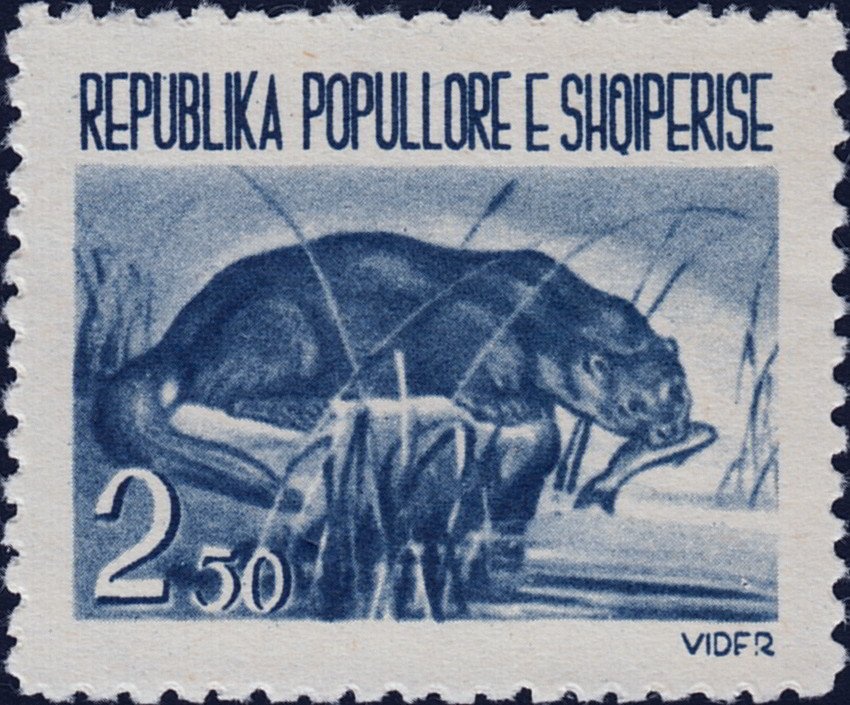 ‭Map of Adriatic Sea and Albania and Roman statue