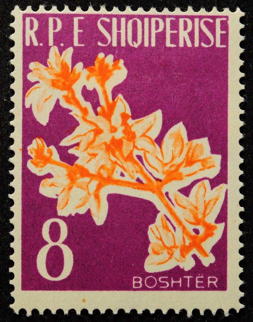 Scenes, World Cup Emblem