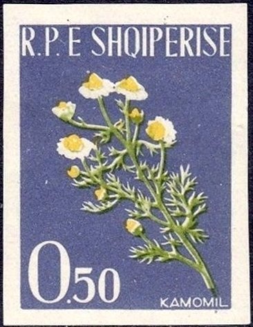 Madonna with hare, by Titian