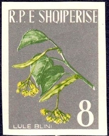 Last supper, mosaic, San Marco Venice